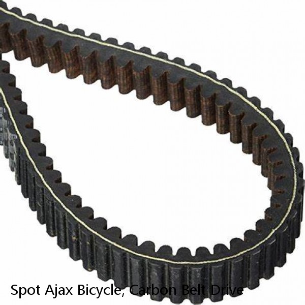 Spot Ajax Bicycle, Carbon Belt Drive