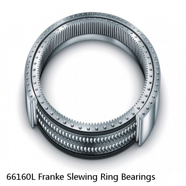 66160L Franke Slewing Ring Bearings #1 small image