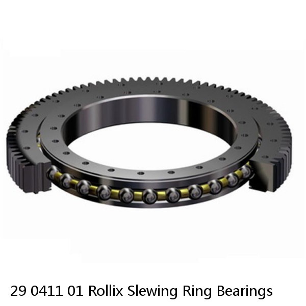 29 0411 01 Rollix Slewing Ring Bearings #1 small image