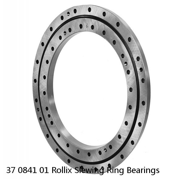 37 0841 01 Rollix Slewing Ring Bearings #1 small image