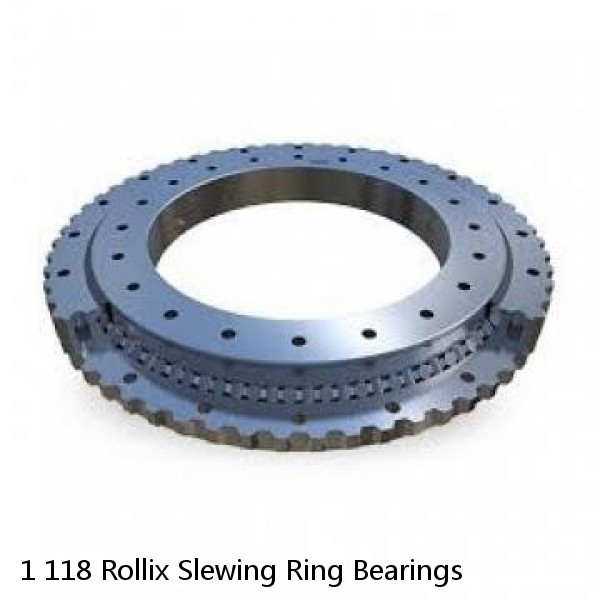 1 118 Rollix Slewing Ring Bearings #1 small image