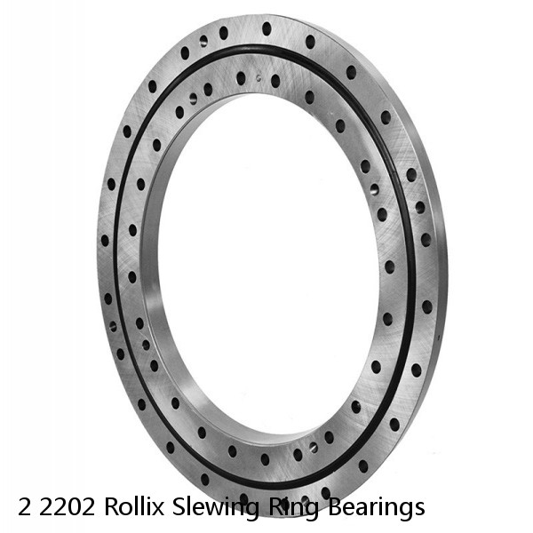2 2202 Rollix Slewing Ring Bearings #1 small image
