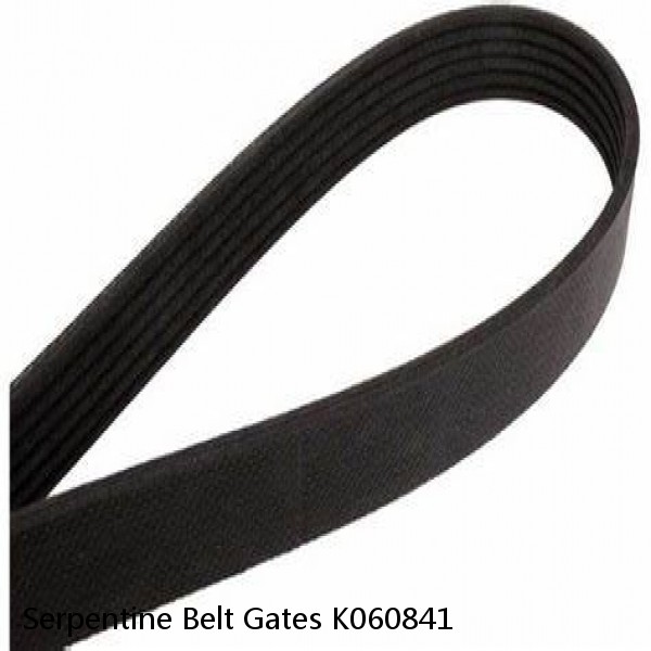 Serpentine Belt Gates K060841 #1 small image