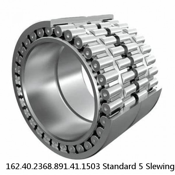 162.40.2368.891.41.1503 Standard 5 Slewing Ring Bearings #1 image