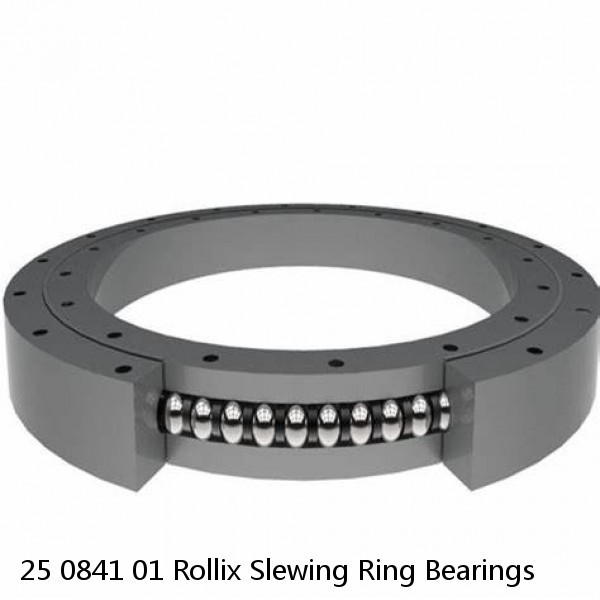 25 0841 01 Rollix Slewing Ring Bearings #1 image