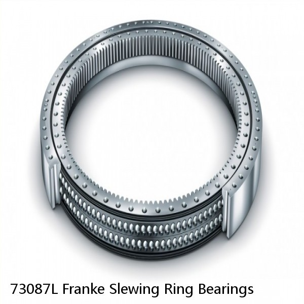 73087L Franke Slewing Ring Bearings #1 image