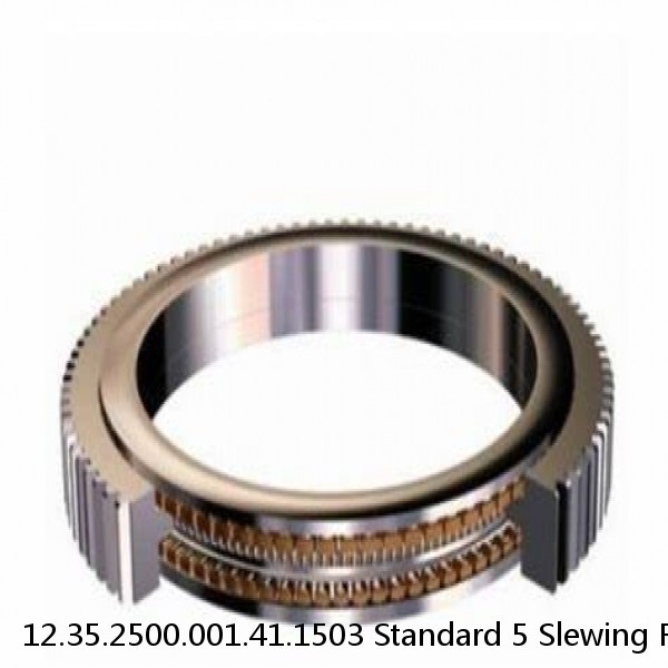 12.35.2500.001.41.1503 Standard 5 Slewing Ring Bearings #1 image