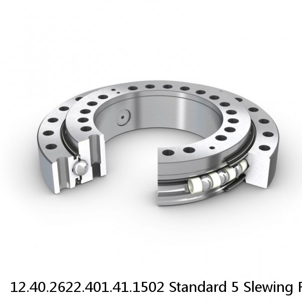 12.40.2622.401.41.1502 Standard 5 Slewing Ring Bearings #1 image