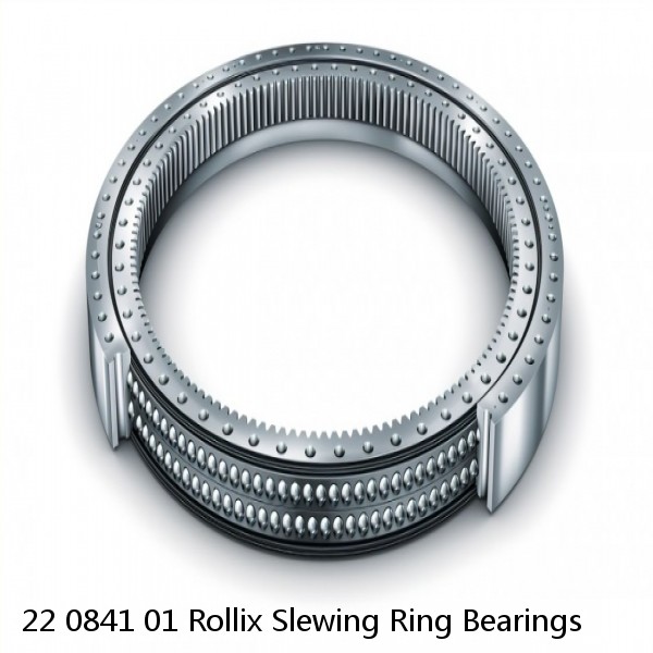 22 0841 01 Rollix Slewing Ring Bearings #1 image