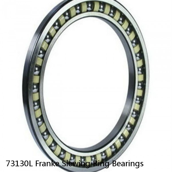 73130L Franke Slewing Ring Bearings #1 image