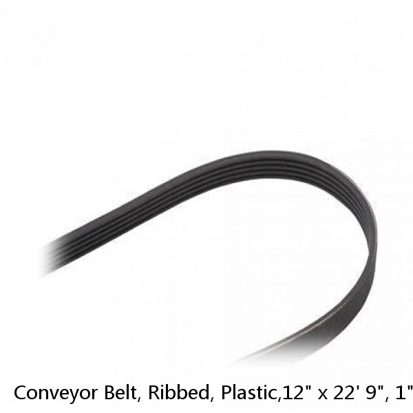 Conveyor Belt, Ribbed, Plastic,12" x 22' 9", 1" Pitch #1 image