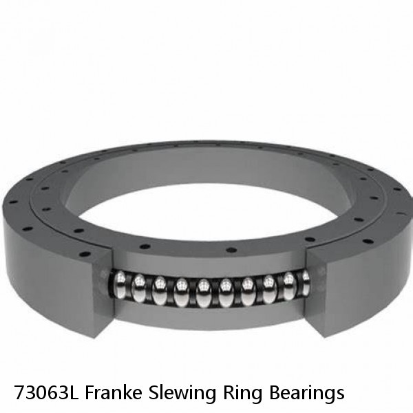 73063L Franke Slewing Ring Bearings #1 image
